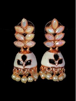 Exclusive Earrings